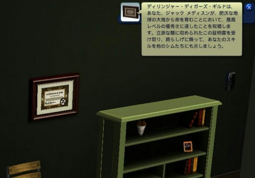 Sims30036.jpg