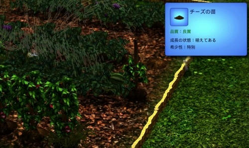 Sims3_06300016.jpg
