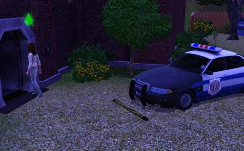 Sims3_0908174.jpg