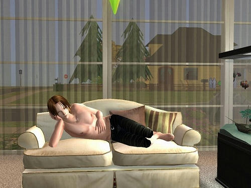 Sims2_20101029026.jpg