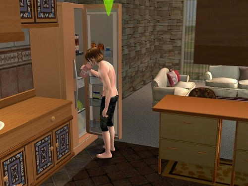 Sims2_20101029027.jpg