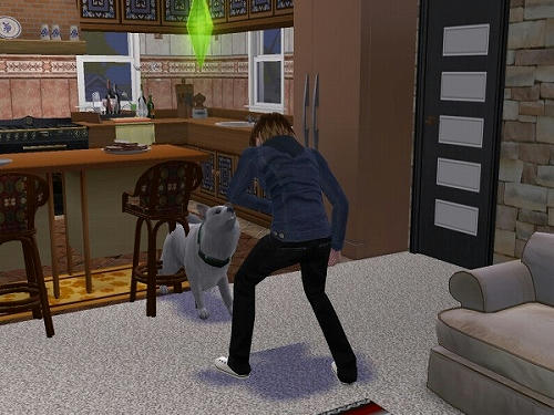 Sims2_20101028005.jpg