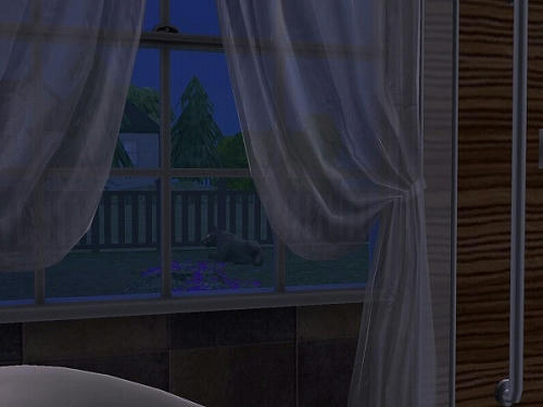 Sims2_20101028007.jpg