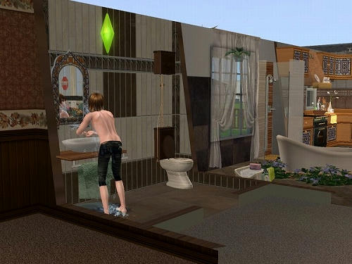 Sims2_20101029022.jpg