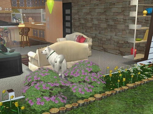 Sims2_20101028006.jpg