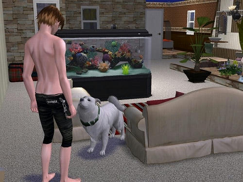 Sims2_20101029021.jpg