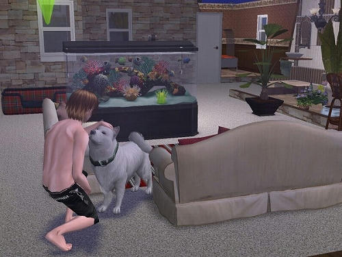 Sims2_20101029030.jpg