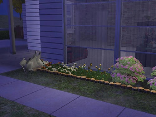 Sims2_20101028008.jpg