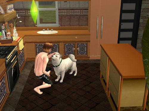 Sims2_20101029011.jpg