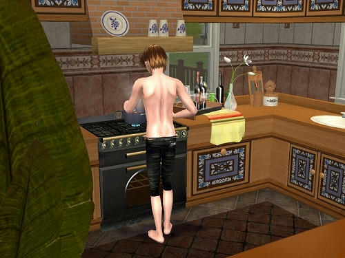 Sims2_20101029029.jpg