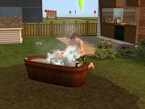 Sims2_20101029028.jpg