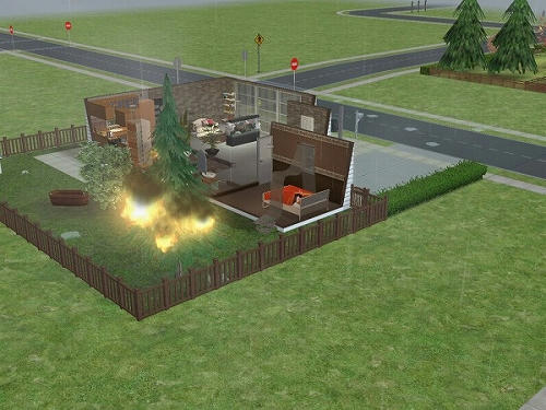 Sims2_20101029009.jpg
