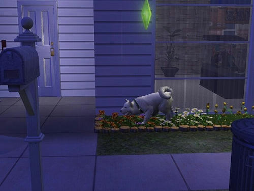Sims2_20101029010.jpg