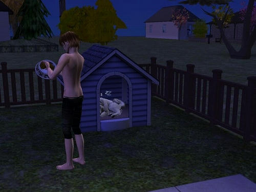 Sims2_20101029003.jpg