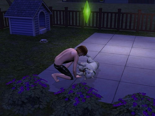 Sims2_20101029005.jpg