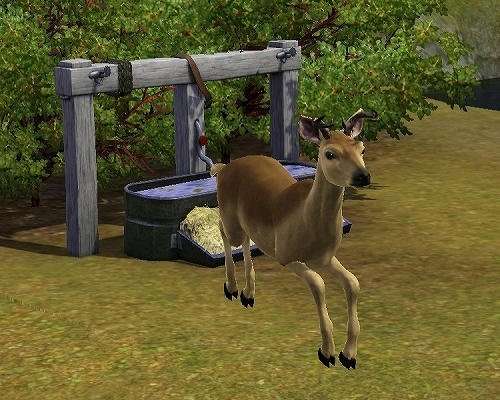 Screenshot-7_1129.jpg
