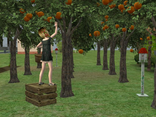 snapshot_2dae7a30_bc791c4c.jpg