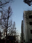 朝月