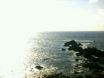 潮岬１