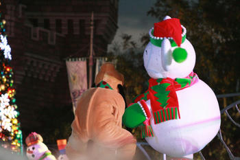 IMG_966200.JPG
