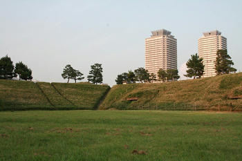 IMG_5314.jpg