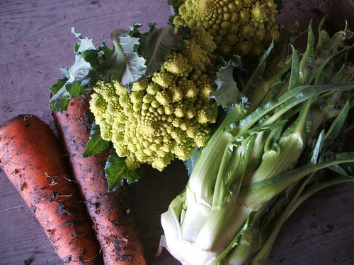 DSCF2681.JPG
