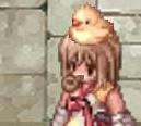 piyo.JPG