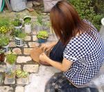 DSCF6164.JPG