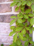 DSCF6304.JPG