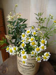 DSCF6791.JPG