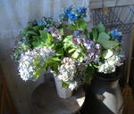 DSCF6888.JPG