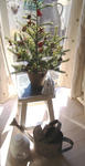 DSCF6889.JPG