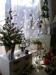 DSCF6890.JPG