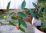 DSCF6893.JPG