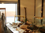 DSCF6898.JPG
