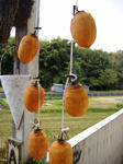 DSCF6824.JPG