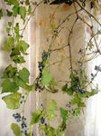 DSCF7024.JPG