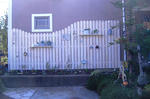 DSCF6770s.JPG