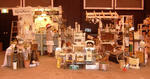 DSCF7167.JPG