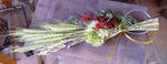 DSCF7174.JPG