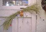 DSCF7177.JPG