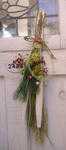 DSCF7194.JPG