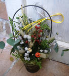 DSCF7199.JPG