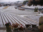 DSCF7394.JPG