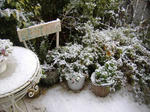 DSCF7582.JPG