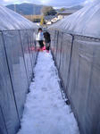 DSCF7598.JPG