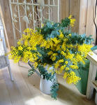 DSCF7948.JPG