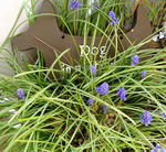 DSCF8052.JPG