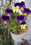 DSCF8202.JPG