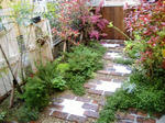 DSCF8297.JPG